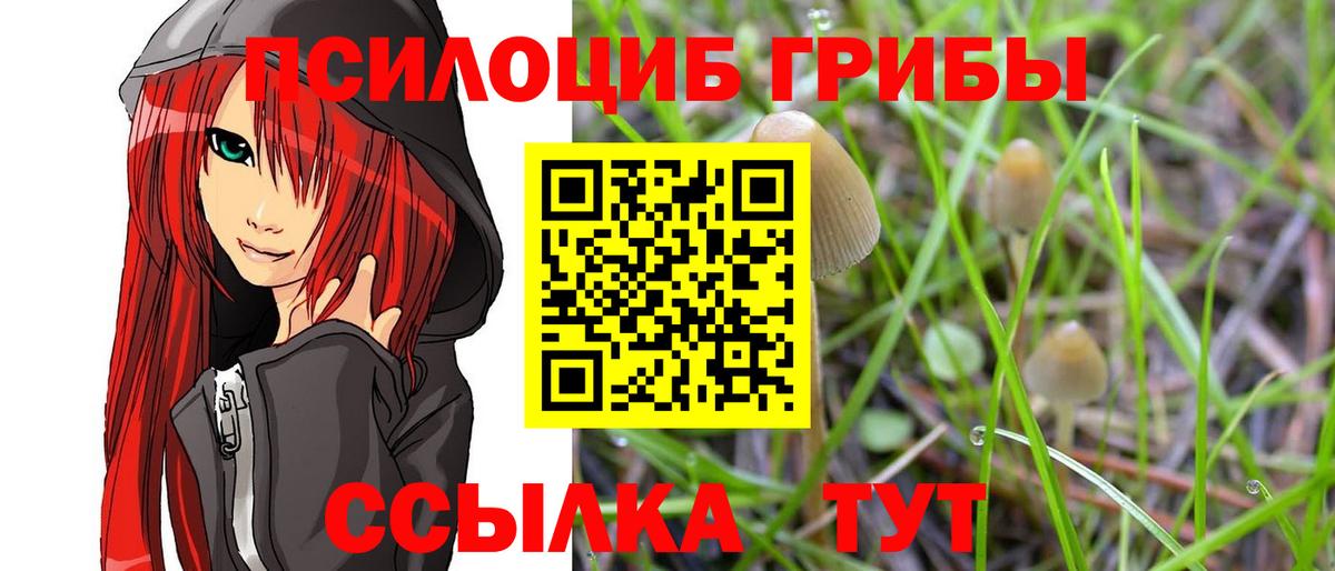 Щёкино  Псилоцибиновые грибы прущие грибы  Галлюциногенные грибы GOLDEN TEACHER  закладки  Вход с VPN 